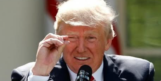 Большой тупик Дональда Трампа...