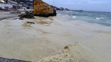 Розлив олії в морі біля Одеської області став екологічною катастрофою