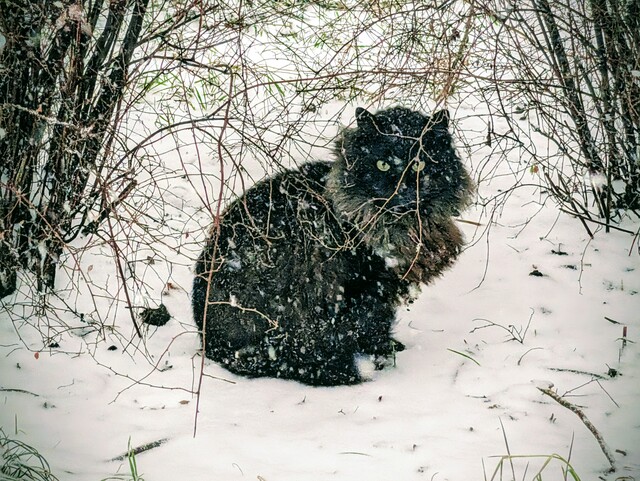 Україна запроваджує надзвичайний стан в енергетиці