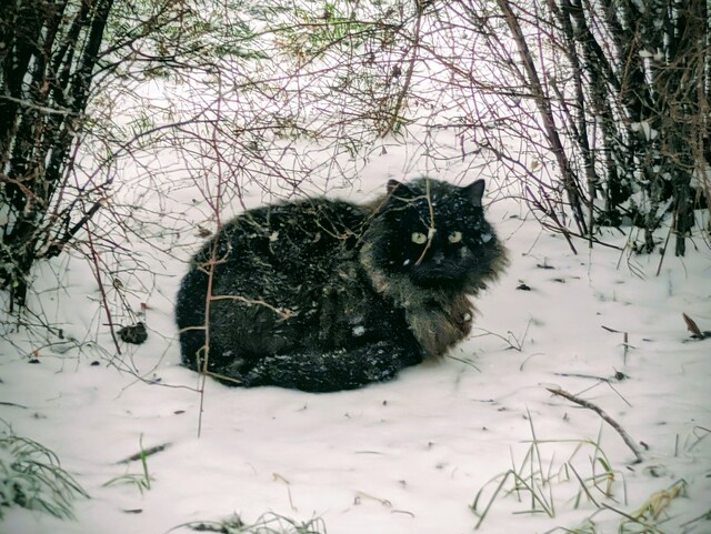 Частина Одеси сьогодні буде без світла, води і опалення