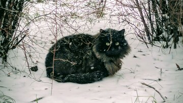 Частина Одеси сьогодні буде без світла, води і опалення