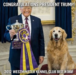 Нобелівська премія миру: тепер у кольорі «Gold Edition»