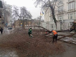 В Одесі вирує негода: місто вкрилося ожеледицею