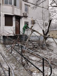 В Одесі вирує негода: місто вкрилося ожеледицею