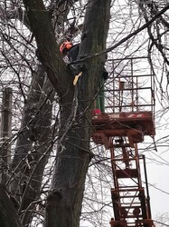 В Одесі вирує негода: місто вкрилося ожеледицею