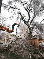 В Одесі вирує негода: місто вкрилося ожеледицею