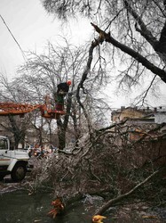 В Одесі вирує негода: місто вкрилося ожеледицею