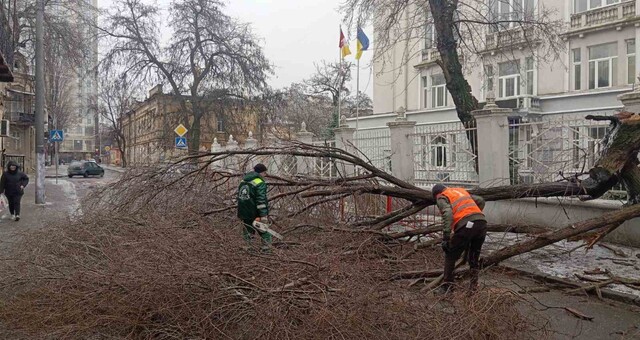 В Одесі вирує негода: місто вкрилося ожеледицею