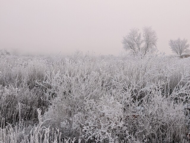 В Одеській області почалося обледеніння