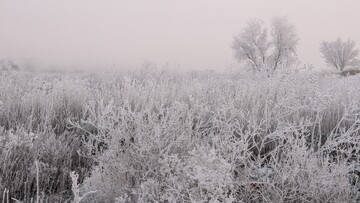 В Одеській області почалося обледеніння