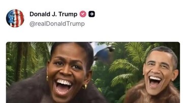 Дональд и обезьяны: кто есть кто