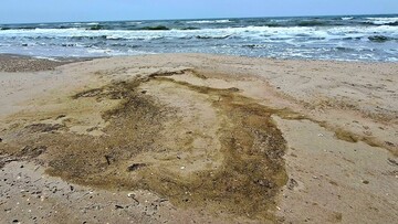 На півдні Одеської області виявили забруднення моря і берегу олією