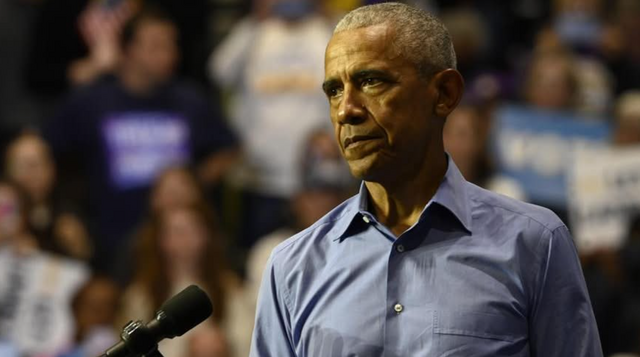 Когда заговорила обезьяна...