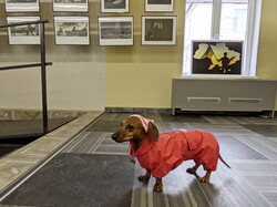 В Одесі відкрилася фотовиставка, що показує емоційний погляд на війну