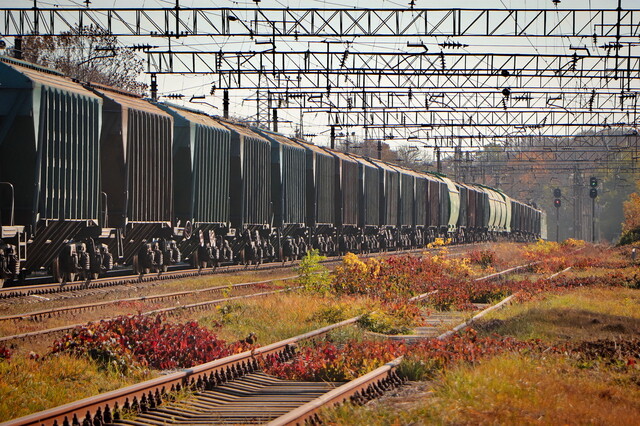 Залізниця перевезла до портів Одеської області понад 4,5 мільйона тон зерна за два місяці