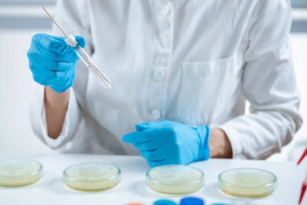 Здоров’я родини як цінність: підхід «Сімейної лабораторії»