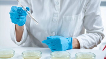 Здоров’я родини як цінність: підхід «Сімейної лабораторії»