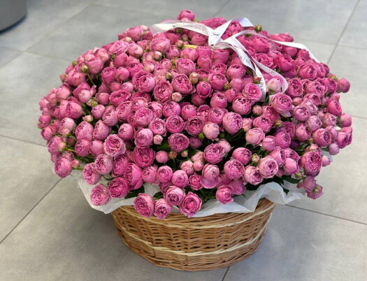 Кущова троянда: особливості, види та ідеї букетів