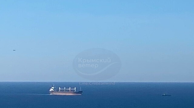 Гуманітарний скандал в ООН: турецька компанія купувала крадене українське зерно з окупованого Маріуполя