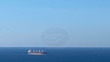 Гуманітарний скандал в ООН: турецька компанія купувала крадене українське зерно з окупованого Маріуполя