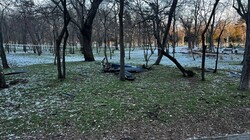Від російського обстрілу постраждав одеський парк Шевченка