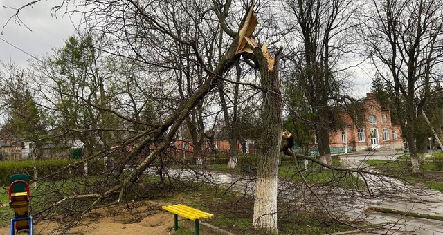По Одеській області пройшов ураган