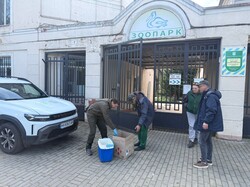 В Одесі знову виявили забруднення моря олією