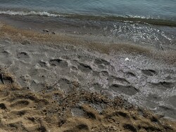 В Одесі знову виявили забруднення моря олією