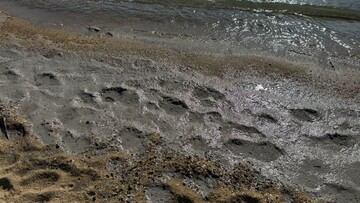 В Одесі знову виявили забруднення моря олією