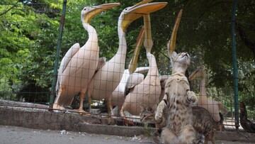 В Одесі пішов з посади багаторічний директор зоопарку