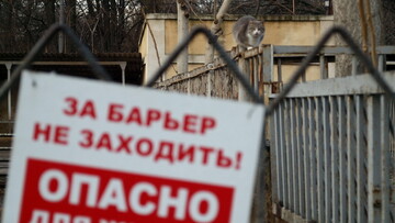 В Одесі очолювати зоопарк буде колишня керівниця приватного біопарку депутата, що мав бізнес у окупованому Криму