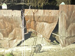 Вночі росіяни завдали серію ударів по Одеській області