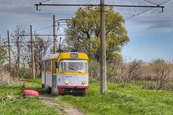 В Одесі відновили рух "комишового" трамваю