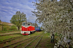 Вузькоколійка Одеської залізниці провела незвичний туристичний рейс (ВІДЕО)