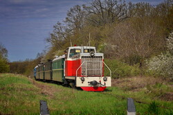 Вузькоколійка Одеської залізниці провела незвичний туристичний рейс (ВІДЕО)