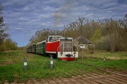 Вузькоколійка Одеської залізниці провела незвичний туристичний рейс (ВІДЕО)