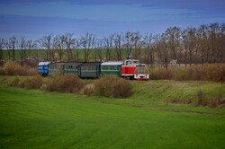 Вузькоколійка Одеської залізниці провела незвичний туристичний рейс (ВІДЕО)