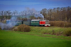 Вузькоколійка Одеської залізниці провела незвичний туристичний рейс (ВІДЕО)