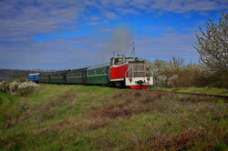 Вузькоколійка Одеської залізниці провела незвичний туристичний рейс (ВІДЕО)