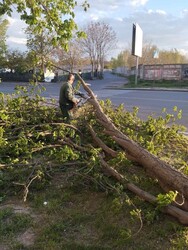 Ураган зривав дахи з будівель у Одеській області