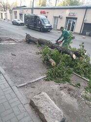 Ураган зривав дахи з будівель у Одеській області