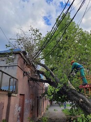 Ураган зривав дахи з будівель у Одеській області