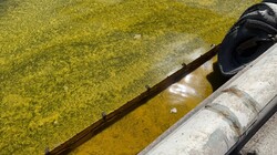 Через російський обстріл сталася екологічна катастрофа у морі біля Одеси