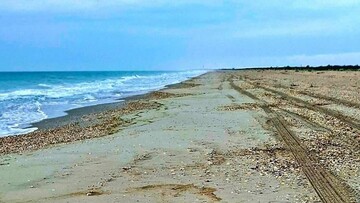 Узбережжя Одеської області забруднене олією після російських обстрілів