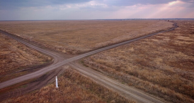 В Одеській області відновлюють ланшафти Тарутинського степу