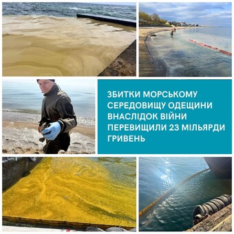 Через російські удари морському середовищу біля Одеської області завдано збитків на 23 мільярди