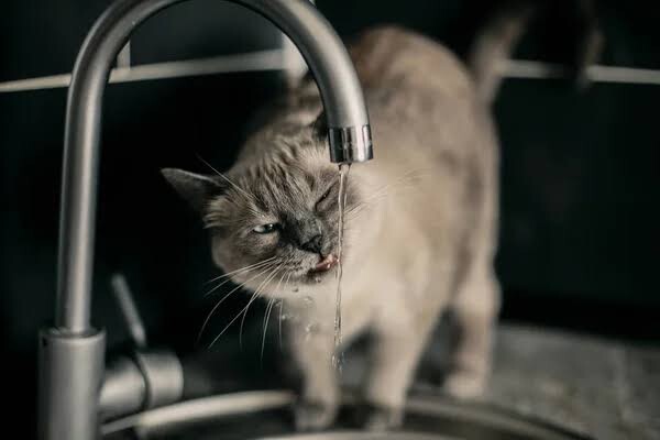 Завтра більша частина Одеси залишиться без води майже на цілий день