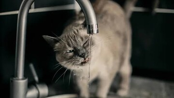 Завтра більша частина Одеси залишиться без води майже на цілий день