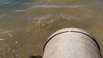 Під Одесою сталася техногенно-екологічна катастрофа: понад тиждень у море зливають каналізаційні стоки