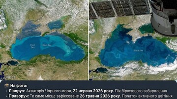 Чорне море міняє колір на бірюзовий